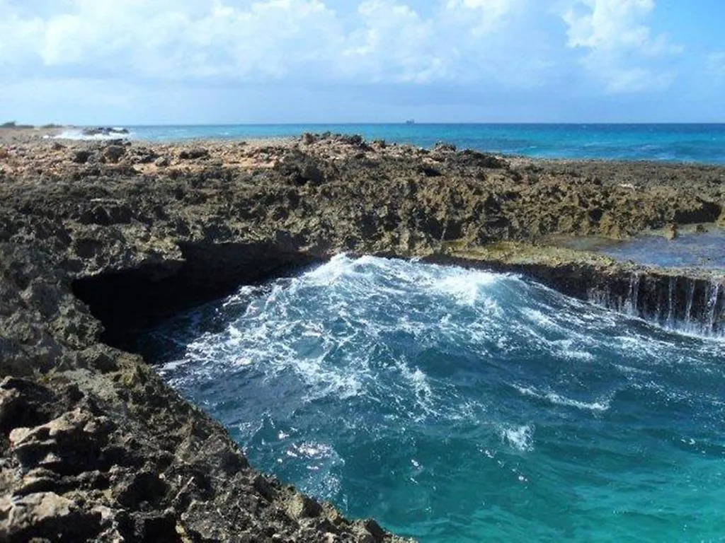 Aruba Cunucu Residence Палм Бич Апарт-отель