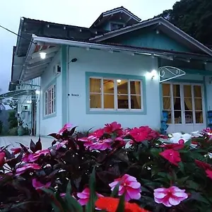 https://hotel-alpinus.santa-catarina-brasil.com